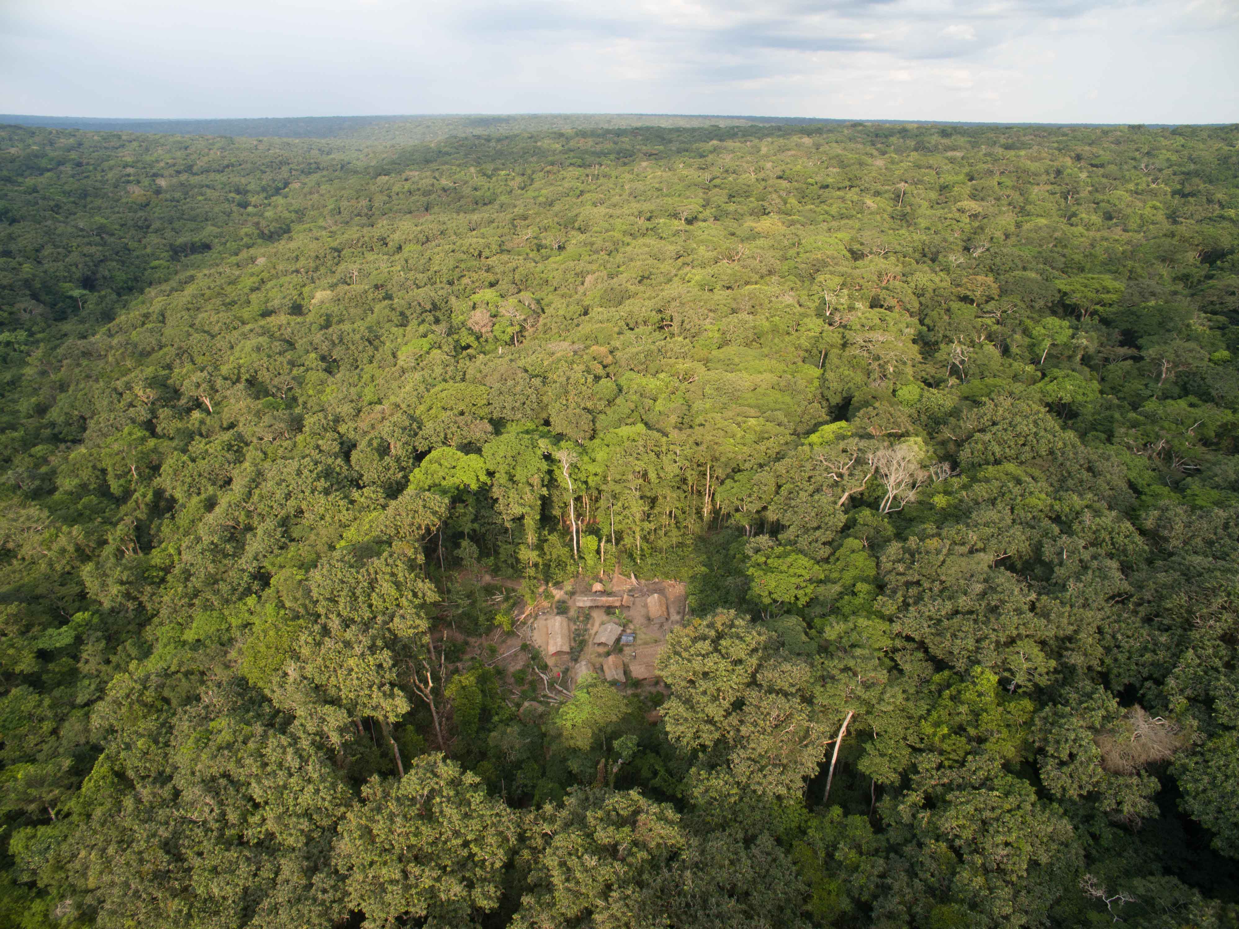 site