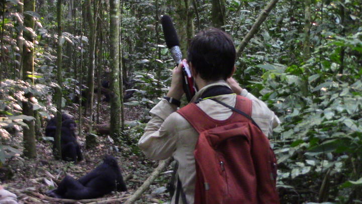 Researcher in the forest